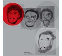 Friedberger - Matricidal Sons Of Bitches [Vinilo]