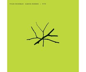 Friedman, Tyler / Rohrer, Samuel - YYY [Vinilo]