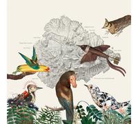 Friendly Rich - The Birds of Marsville [Vinilo]