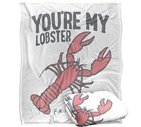 FRIENDS Blanket, 152 x 127 cm The Rachel & Ross Silky Touch Super Soft Throw Blanket