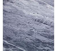 Friends of Gas - Carrara -Coloured/Ltd- [Vinilo]