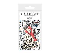 Friends rk38950c llavero de goma, multicolor