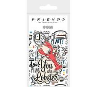 Friends RK38950C Llavero de goma, multicolor