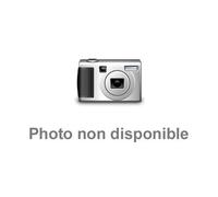Friends s7 d2 [Francia] [DVD]