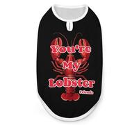 Friends You're My Lobster - Camiseta divertida para perro, sin mangas, para mascotas, sin botones, para gatos, talla L