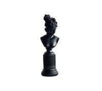 FriendshipHome Centro de mesa, retrato retro de cabeza de Apolo, estatua de busto de Venus, decoración clásica y elegante para el hogar, resina, artesanía, escultura de diosa, decoración de estantería
