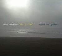 Friesen David - Where The Light Falls