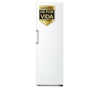 Frigorífico 1 Puerta DoorCooling + Clasificación E, 386L - Blanco - GLT51SWGSZ | LG ES