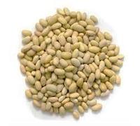 Frijol canario, frijoles peruanos Frijoles Aka Mayocoba, Peruano Beans- 50 semillas orgánicas