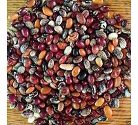 Frijoles Pussac Punay herencia andina (1/4 lb) Semillas dormir ocho de la herencia!