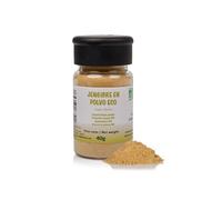 FRISAFRAN | Jengibre en Polvo BIO 40g | Digestivo | Especia Natural | Fuente de energía | sin aditivos | jengibre-ecológico | Molido | deshidratado sin azúcar | Origen India