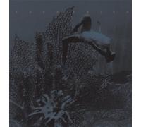 Frith,Fred - Eye To Ear 3