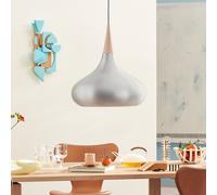 Fritz Hansen Lámpara colgante Orient P3 Aluminio lacado transparente