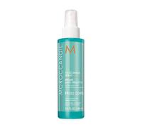Frizz Shield Spray 160Ml
