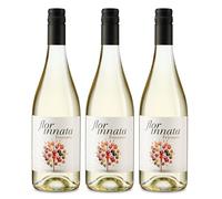 Frizzante 5.5 Flor Innata - Vino Blanco Espumoso Suave de Verdejo & Gewürztraminer - Pack 3 Botellas (3x75 urbuja Fina, Graduación Baja, Ideal para Brindar sin Complicaciones