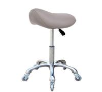 FRNIAMC Sillín profesional con ruedas ergonómico giratorio altura ajustable para clínica dentista salón de belleza tatuaje oficina en casa (gris)
