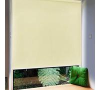 Froadp 100x240cm Toldo Vertical Exterior, Estor Enrollable de Oscurecimiento con Abrazaderas y Cadena, Privacidad Persianas Enrollables, Estores de Protección Solar para Ventanas y Puertas(Beige)