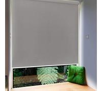 Froadp 140x140cm Toldo Vertical Exterior, Estor Enrollable de Oscurecimiento con Abrazaderas y Cadena, Privacidad Persianas Enrollables, Estores de Protección Solar para Ventanas y Puertas(Gris)
