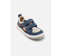 Froddo Barefoot Baze 24 Multicolor