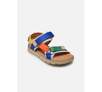 Froddo Ke flash 29 Multicolor