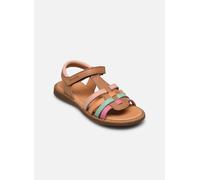 Froddo Lore Straps 25 Multicolor