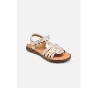 Froddo Lore Straps 25 Oro y bronce