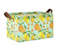 FRODOTGV Cestas de almacenamiento plegables para organización del hogar, diseño vintage de limón, fruta M