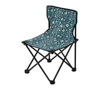 FRODOTGV Spring Flowers Cactus Cornflower Butterflies Bees Teal - Silla plegable para acampar juvenil, silla plegable ligera, incluye bolsa de transporte, silla de pesca en hielo para pesca en hielo
