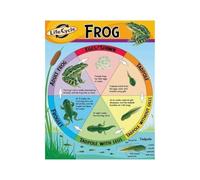 Frog Life Cycle Poster Science Classroom Reference