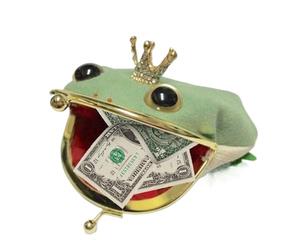 Frog Wallet, Fashion Cosplay Pouch, Compact Cute Anime, 5x3.94 Inches, Adorable frog design inspired by anime Inspired Coin Purse, Exquisite Accessory for Girls, Boys, Adults, Women, Men, Everyday Use