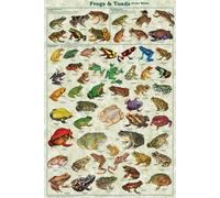 Frogs & Toads of the World Educational Science Classroom Chart Print P