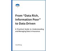 From “Data Rich, Information Poor” to Data Driven: A Practical Guide to Understanding and Managing Data in Insurance