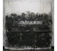 From Indian Lakes - Able Bodies [Vinilo]
