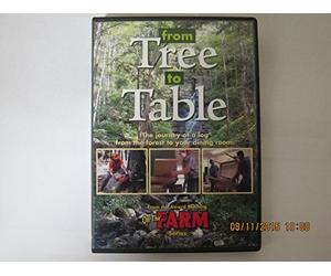 From Tree to Table: Journey of a Log