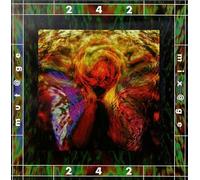 Front 242 - Mutage Mixage
