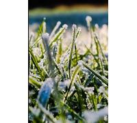 Frosty Winter Grass A5 Hardback Lined Glossy Notebook: Winter Journal, Grass Lover Gift, Snow Frost and Ice Stationery