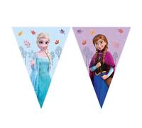 Frozen Idyllic Wonder FSC - Bandera Triangular de Papel (9 Banderas), 1 Unidad