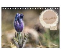 Frühlingsblüher - Farbenpracht nach dem Winter (Tischkalender 2026 DIN A5 quer), CALVENDO Monatskalender: Wenn die kalten Tage langsam weichen, ... leuchtenden Farben das Ende des Winters an.