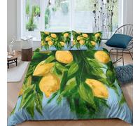 Fruit garden painting Funda Edredon Microfibra de poliéster 3 Piezas Diseño 3D con Cremallera Fruit jardín pintura Funda de Edredón incluye Funda de Almohada Lavables for Adultos Single（140x200cm）