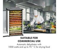 Fruit Jerky 14 deshidratador 1000W 14 pisos de acero inoxidable negro Klarstein