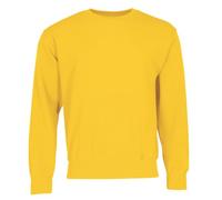 Fruit of The Loom 62-202-0 - Sudadera de Manga Larga para Hombre, 62-202-0, Hombre Mujer, Color Girasol, tamaño Small