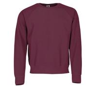 Fruit of the Loom Sudadera para hombre 62-216-0 Rojo (Burgundy) Talla L