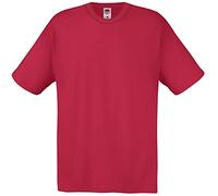 Fruit of the Loom - Camiseta Básica de Manga Corta de Calidad diseño Original Hombre Caballero (3XL) (Rojo ladrillo)