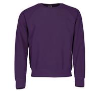 Fruit of the Loom Classic Raglan Sweatshirt - Men's 80/20 Jumper - Púrpura (M)