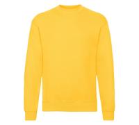 Fruit of the Loom Jersey Classic 80/20 SetIn para Hombre (RW7886) UTRW7886_11