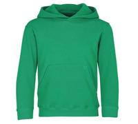 Fruit of the Loom Kids Classic Hooded Sweat | Sudadera con capucha para niños - Sudadera con capucha con doble capucha y bolsillo canguro, para niños y niñas, algodón/poliéster, Kelly Green, 152