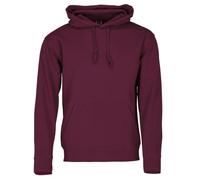 Fruit of the Loom Ss106m, Sudadera con capucha para Hombre, Rojo (Burgundy), Medium