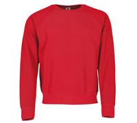 Fruit of the Loom Sudadera clásica raglán + GRATIS bolsa de tela MyShirt, L