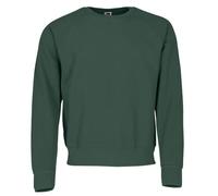 Fruit of the Loom Sudadera para hombre., verde botella, XXL