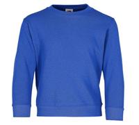 Fruit Of The Loom - Sudadera de Cuello Redondo clásico, manga larga - para niño Blu reale 7-8 Years